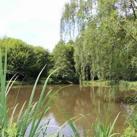 Willa Fachwerkhaus Im Sauerland - Goldhase Anno 1700 Medebach Zewnętrze zdjęcie