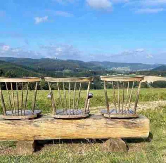 Willa Fachwerkhaus Im Sauerland - Goldhase Anno 1700 Medebach Zewnętrze zdjęcie