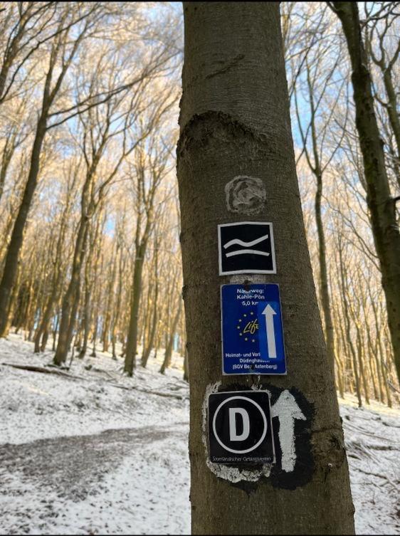 Willa Fachwerkhaus Im Sauerland - Goldhase Anno 1700 Medebach Zewnętrze zdjęcie