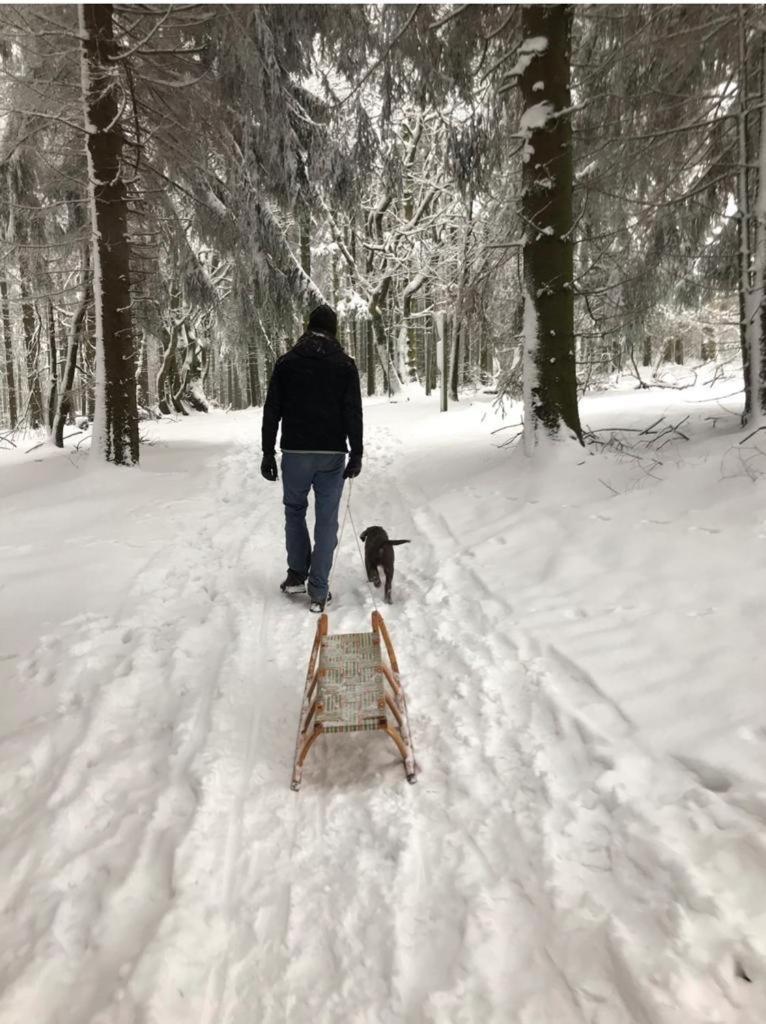 Willa Fachwerkhaus Im Sauerland - Goldhase Anno 1700 Medebach Zewnętrze zdjęcie